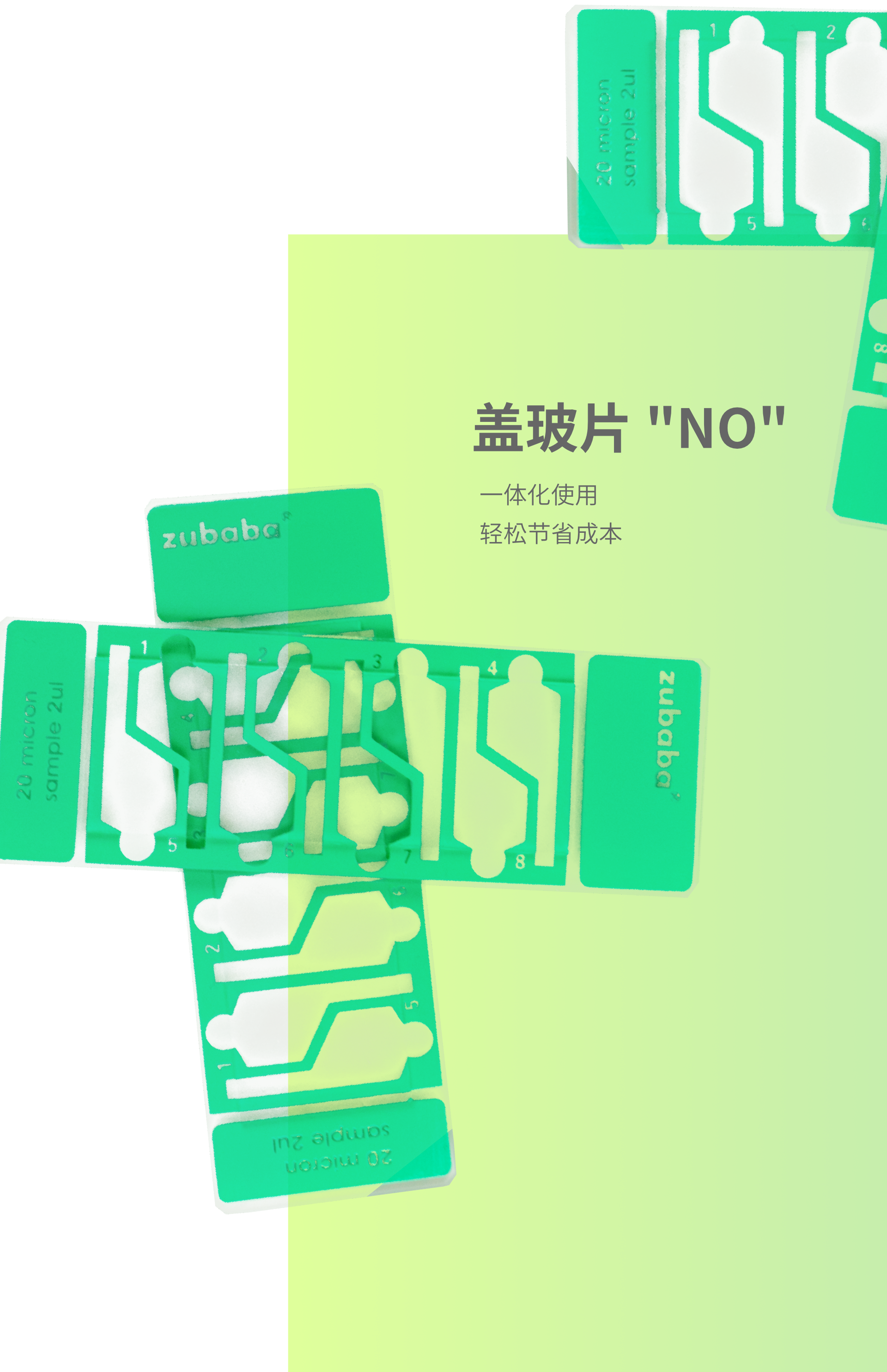 切片7.png 切片7.png
