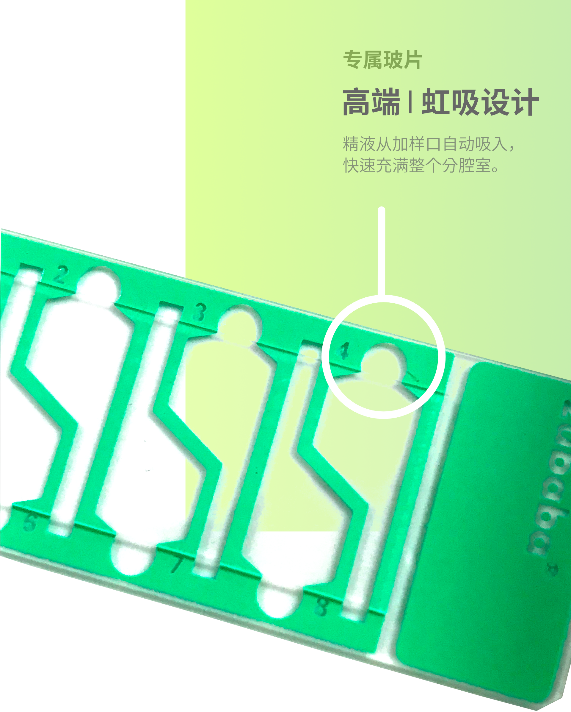 切片8.png 切片8.png