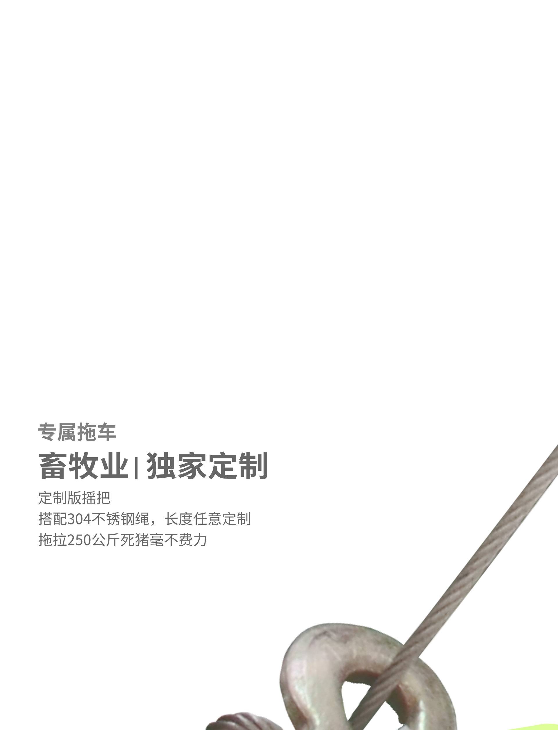 切片13.jpg 切片13.jpg