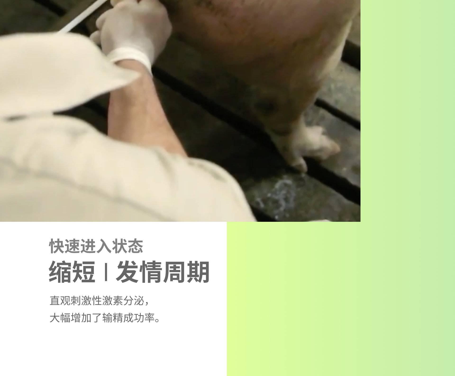 切片18.jpg 切片18.jpg