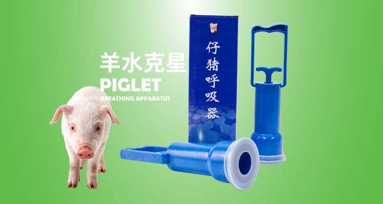 仔猪呼吸机—羊水克星，一步解决窒息难题