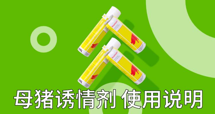 母猪诱情剂使用方法详解 养猪视频 母猪诱情剂使用方法详解 养猪视频