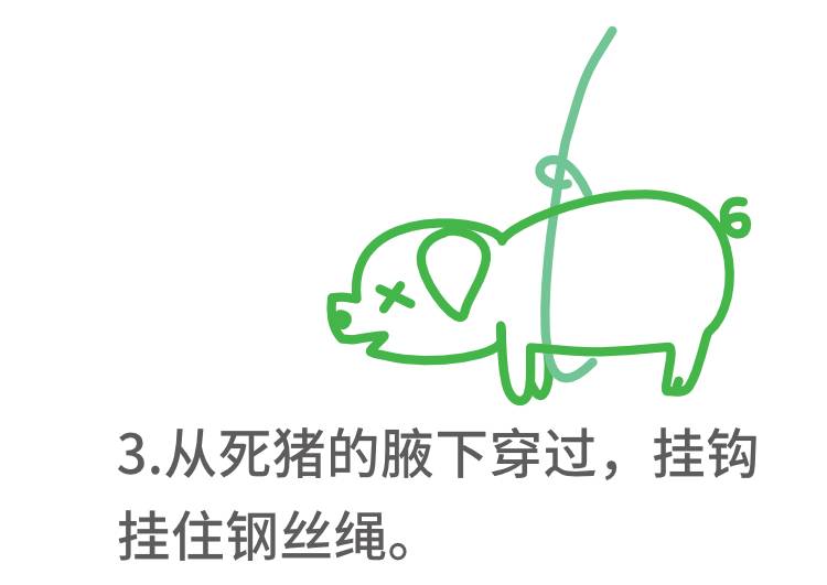 切片14.jpg 切片14.jpg