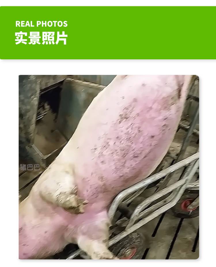 切片16.jpg 切片16.jpg