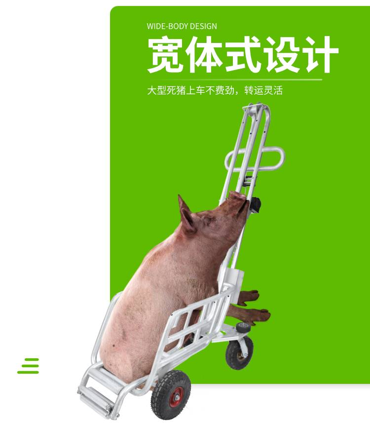 切片7.jpg 切片7.jpg